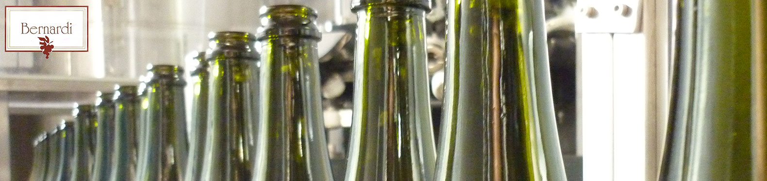 Bernardiogliano